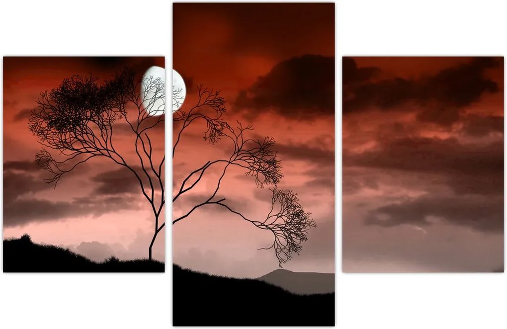 Tablou - Luna luminează noaptea (90x60 cm)