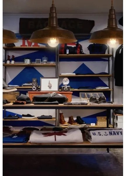 Palnas 62001555 - Lustră pe cablu VESNA 1xE27/60W/230V