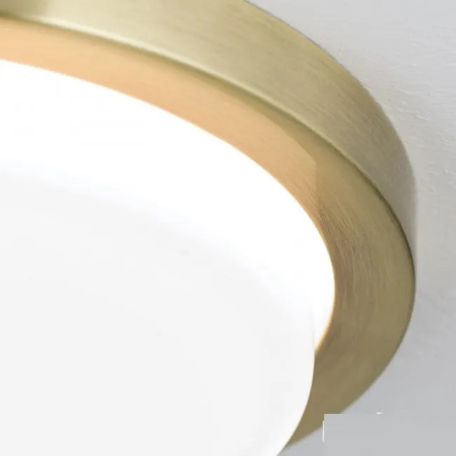 Plafoniera LED moderna LEROX 20cm alama antique