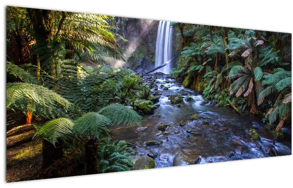 Tablou cu pădurea ploilor din Austalia (120x50 cm)