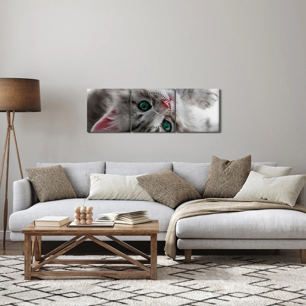 Tablou - Pisica cu ochi verzi (cu ceas) (90x30 cm)