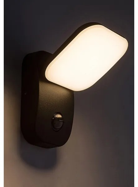 Aplică LED de exterior cu senzor Rabalux 77058 ODIEL LED/12W/230V IP44
