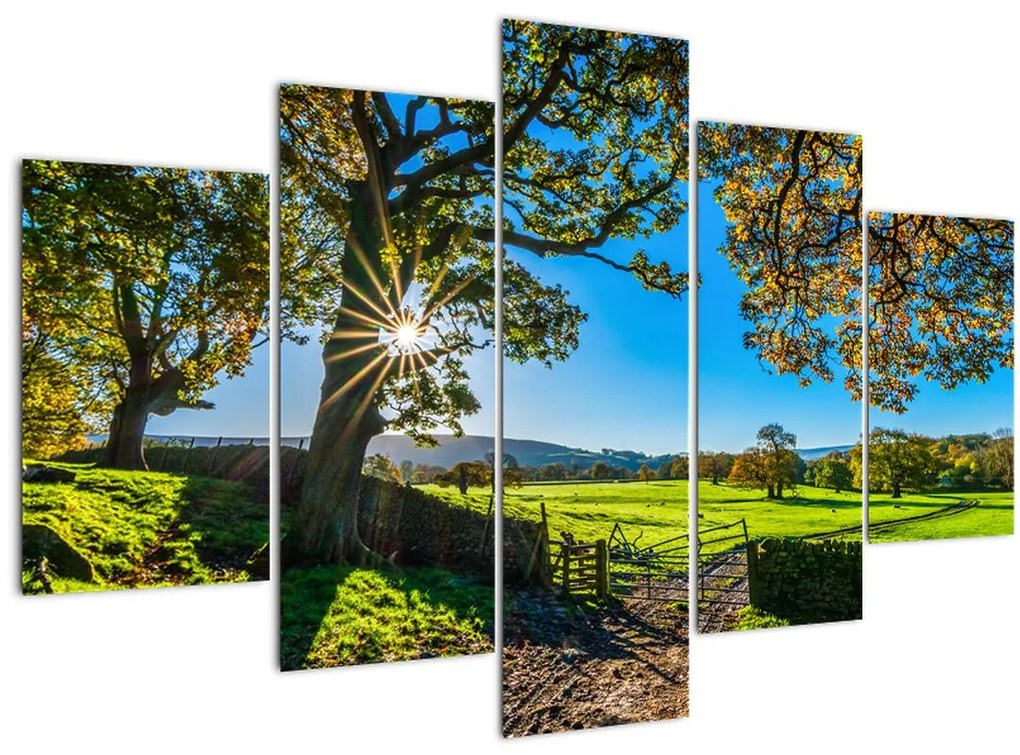 Tablou Privire la câmp (150x105 cm)