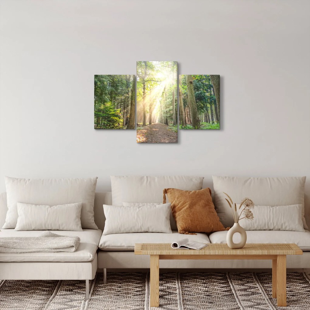 Tablou - Poteci în pădure (90x60 cm)