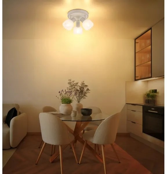 Globo 54317-3 - Lampă spot PLANTA 3xE14/40W/230V