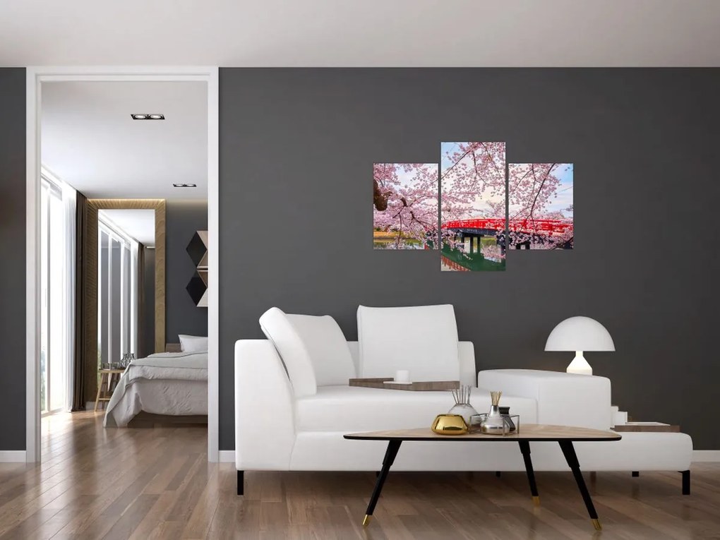 Tablou - Hirosaki, Japonia (90x60 cm)