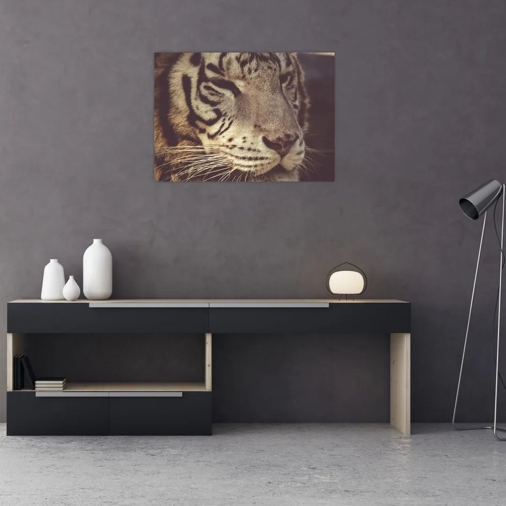 Tablou pe sticlă cu tigrul (70x50 cm)