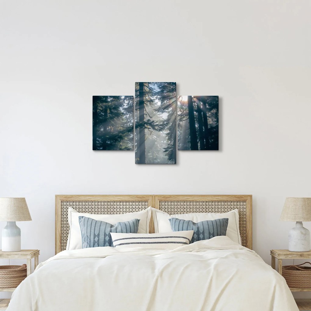 Tablou cu copaci și soarele translucind (90x60 cm)