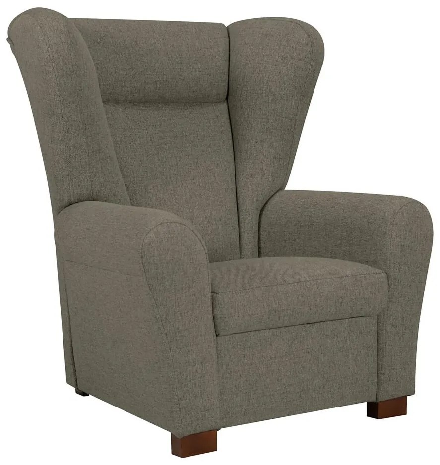 Fotoliu cu aripi VIVA, maro