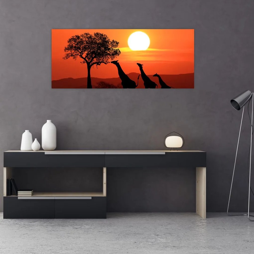 Tablou cu girafe în apus de soare (120x50 cm)