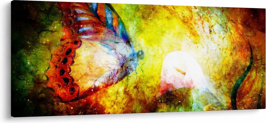 Tablou - Fluture spațial (120x50 cm)