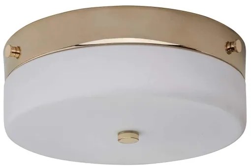 Plafonieră LED pentru baie Elstead TAMAR-F-M-PG TAMAR 1xGX53/5,7W/230V IP44