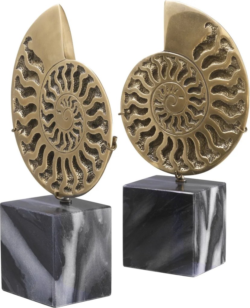 Set 2 obiecte decorative design deosebit LUX Ammonite 113731 HZ