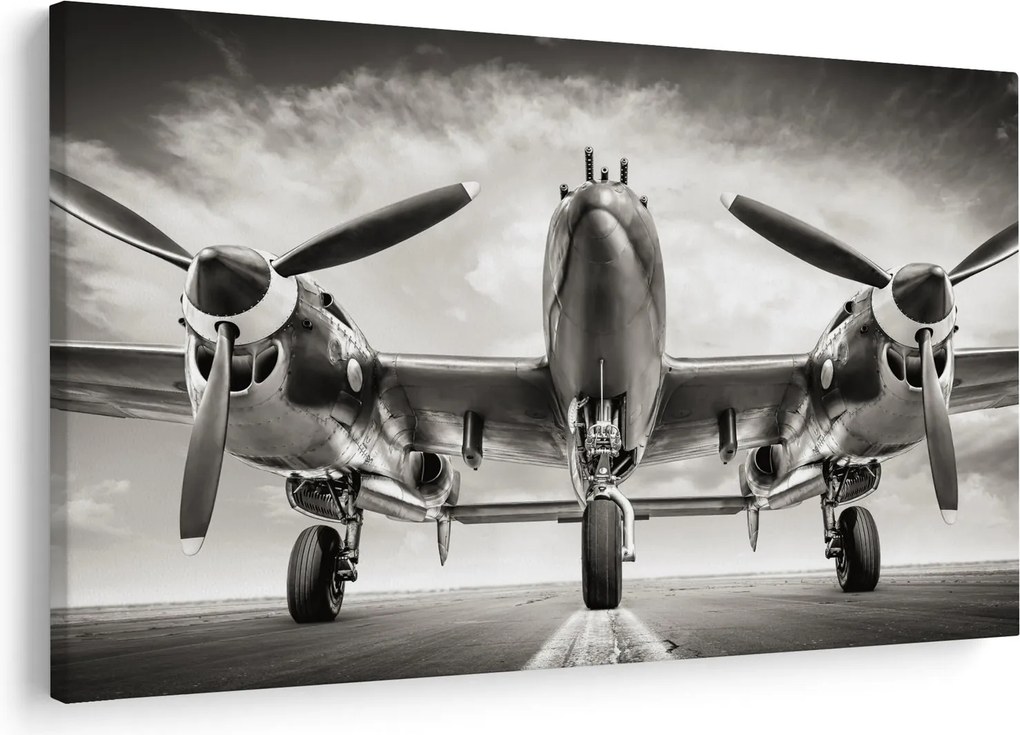Tablou - Warbird (90x60 cm)