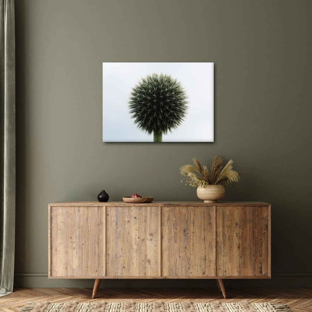 Tablou - Sfere de flori (70x50 cm)