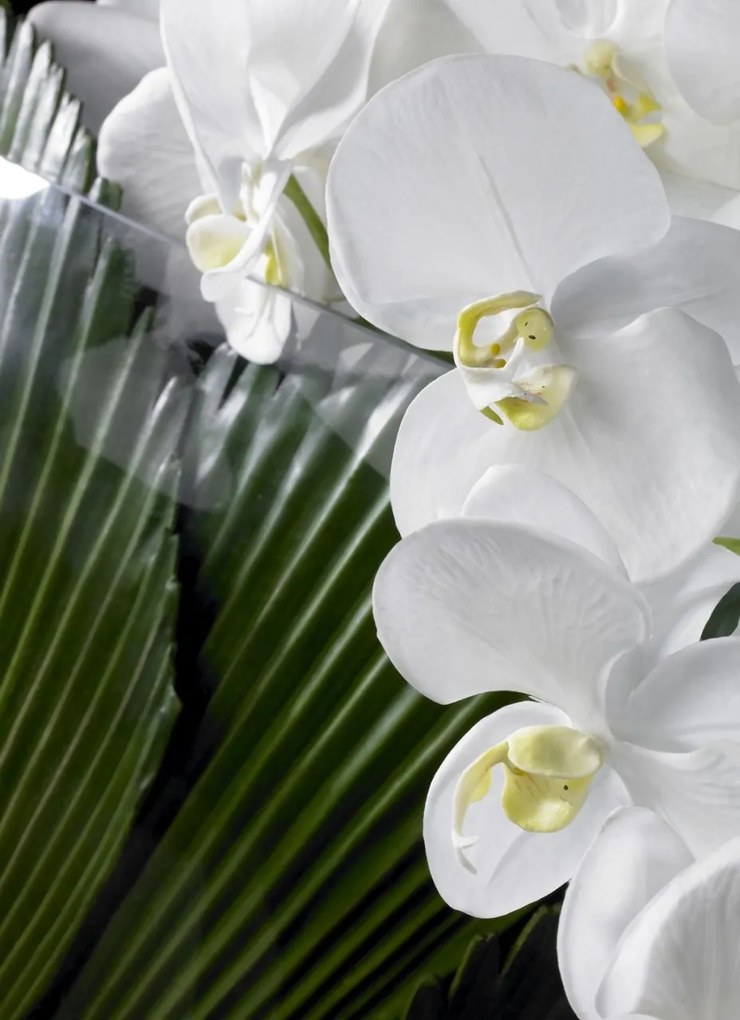 Aranjament floral elegant PHALENO CASCADE 1140969.95