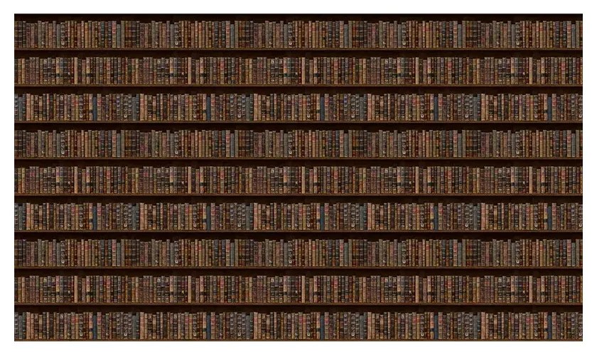 Tapet VLAdiLA Library Style 520 x 300 cm