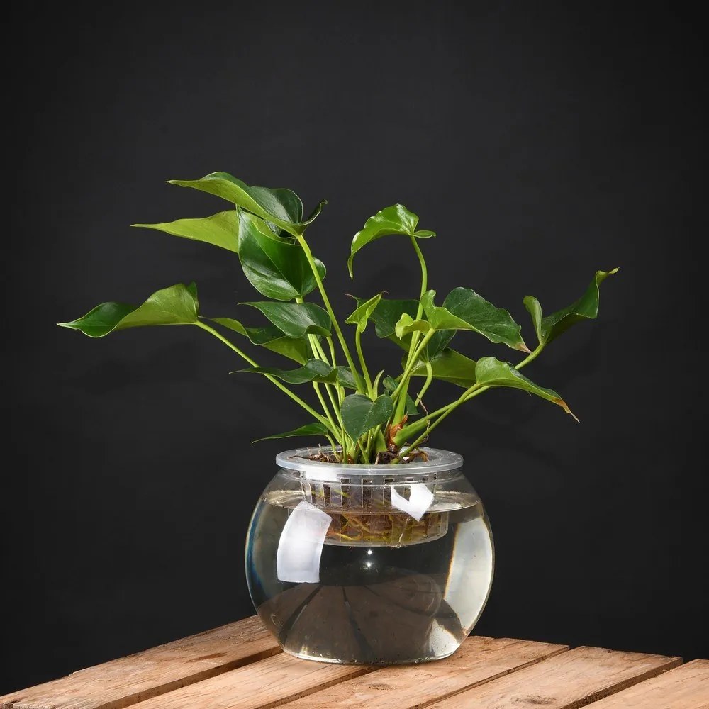 Ghiveci pentru creșterea plantelor Esschert Design, înălțime 17,6 cm