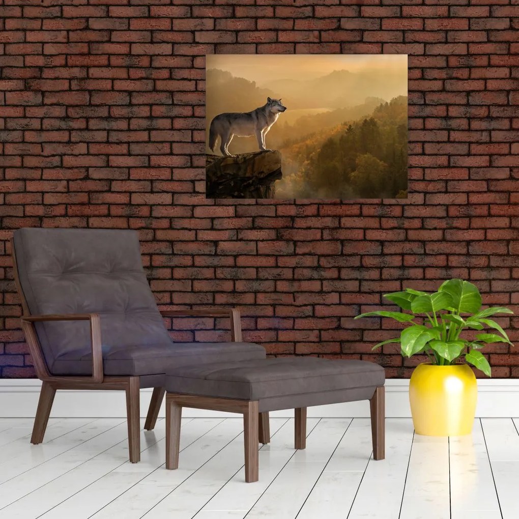 Tablou - Lup pe stăncă (70x50 cm)