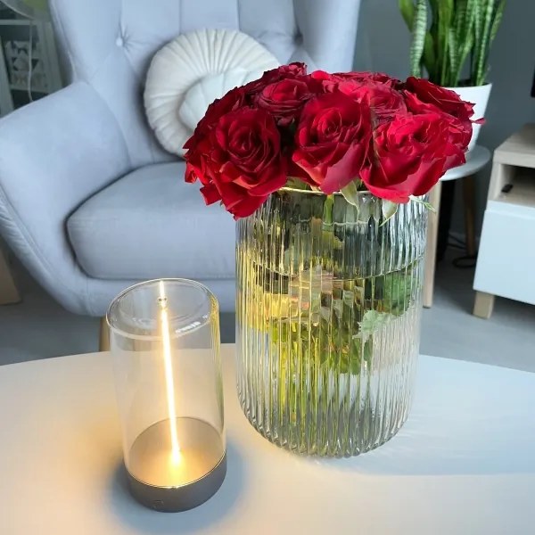 Lampă LED reîncărcabilă dimabilă Zuma Line 1001 ESTERNO LED/0,5W/230V negru IP54