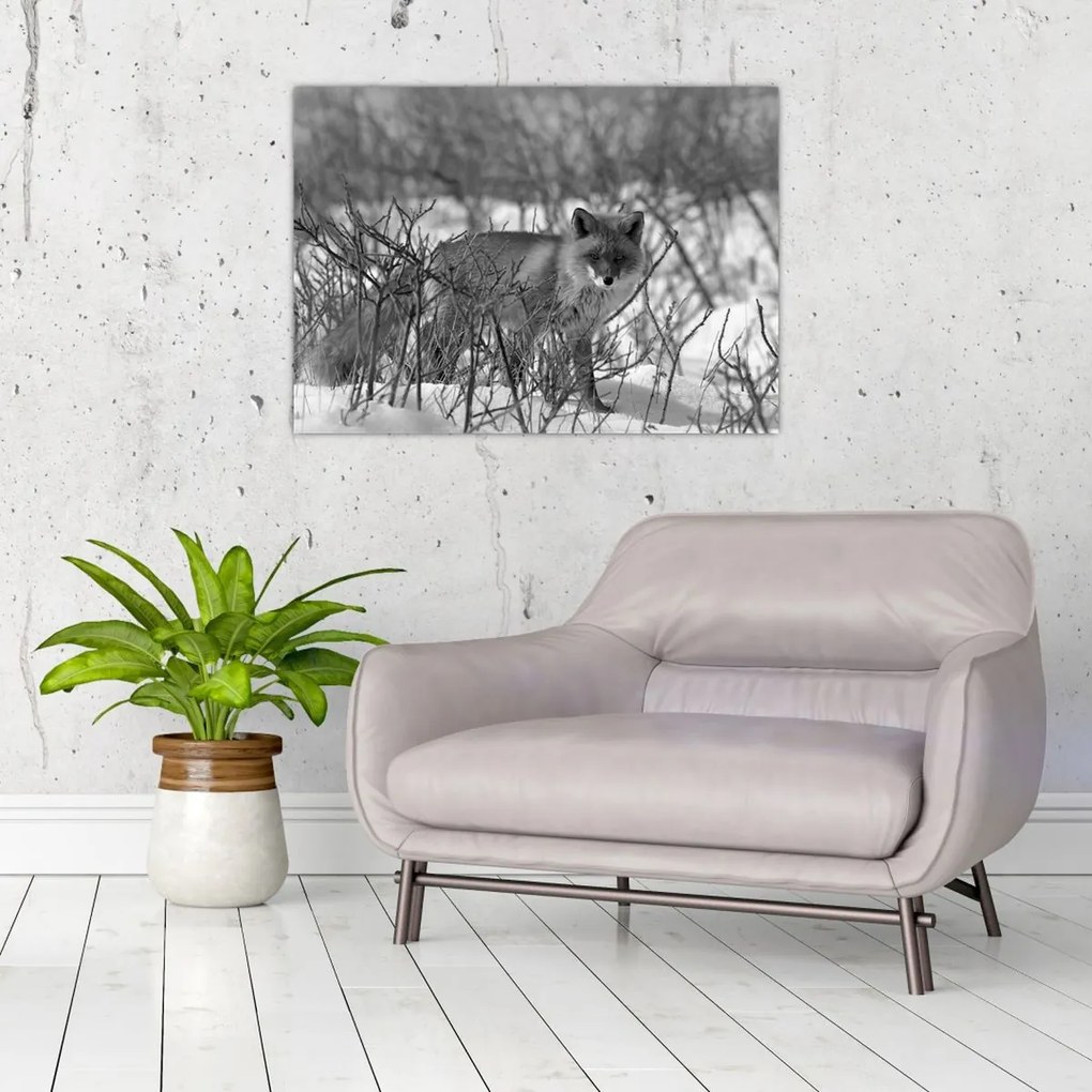 Tablou - Vulpe în timpul iernii (70x50 cm)
