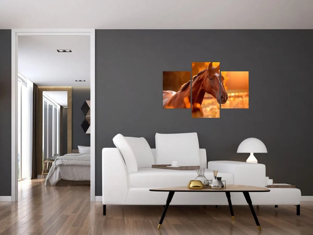 Tablou - Cal în apus de soare (90x60 cm)