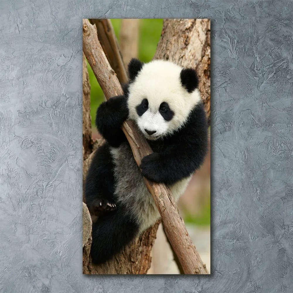 Tablou Printat Pe Sticlă Panda într-un copac