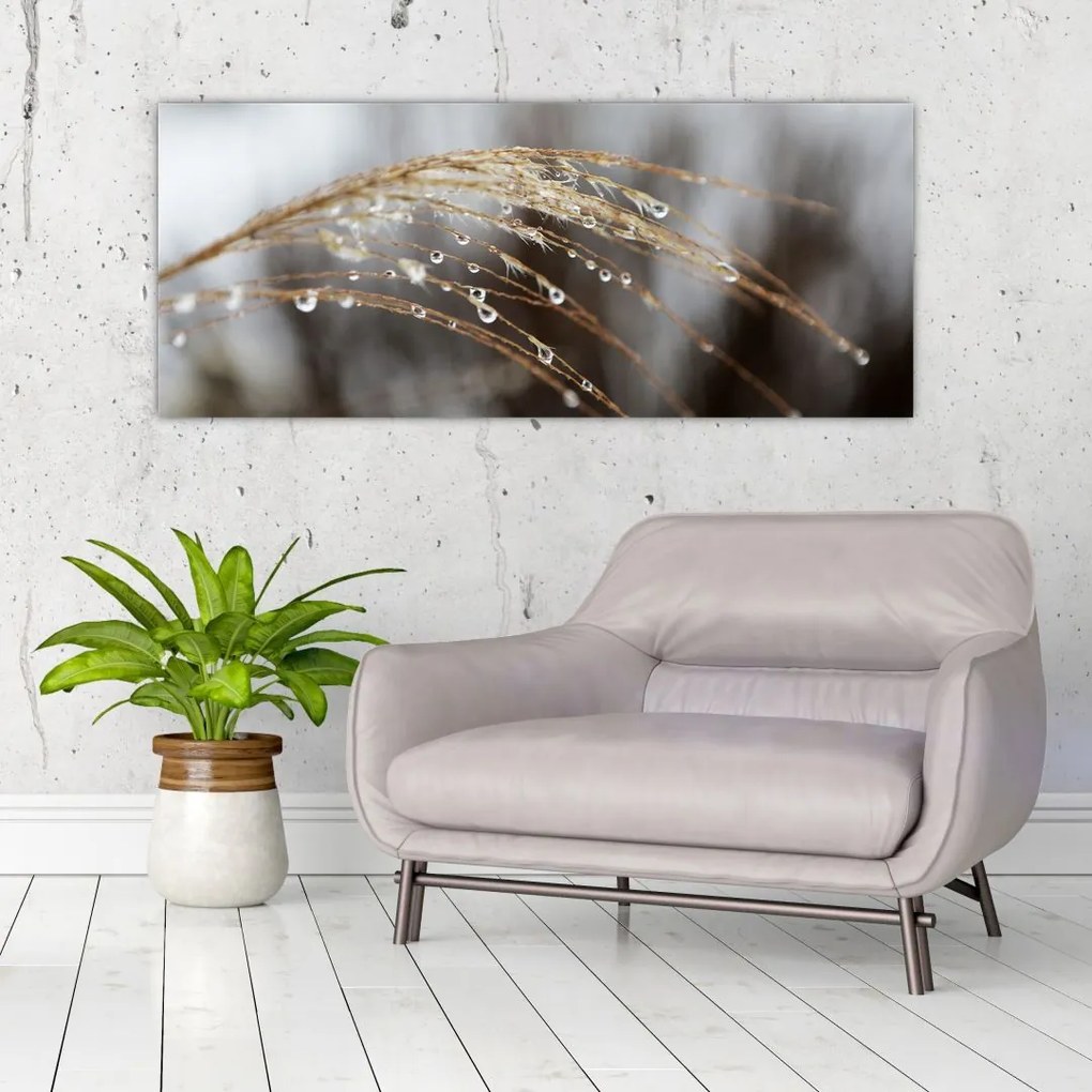Tablou - Picături pe plantă (120x50 cm)