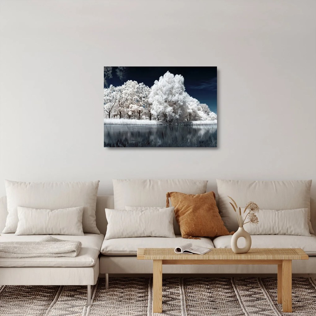 Tablou pe sticlă - Albă ca Zăpada Albă ca Zăpada Copaci (70x50 cm)
