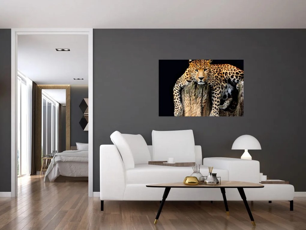 Tablou - Ghepard (90x60 cm)