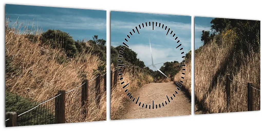 Tablou - Pe potecă (cu ceas) (90x30 cm)