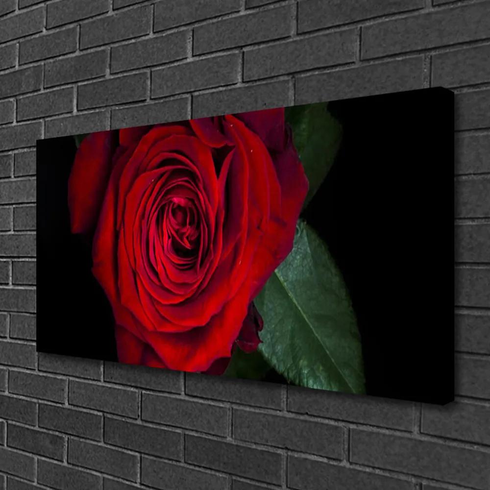 Tablou pe panza canvas Rose Floral Roșu Verde Negru