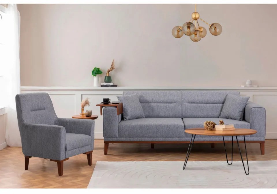 Set Canapea Extensibilă si Fotoliu Liones Tepsili, Gri