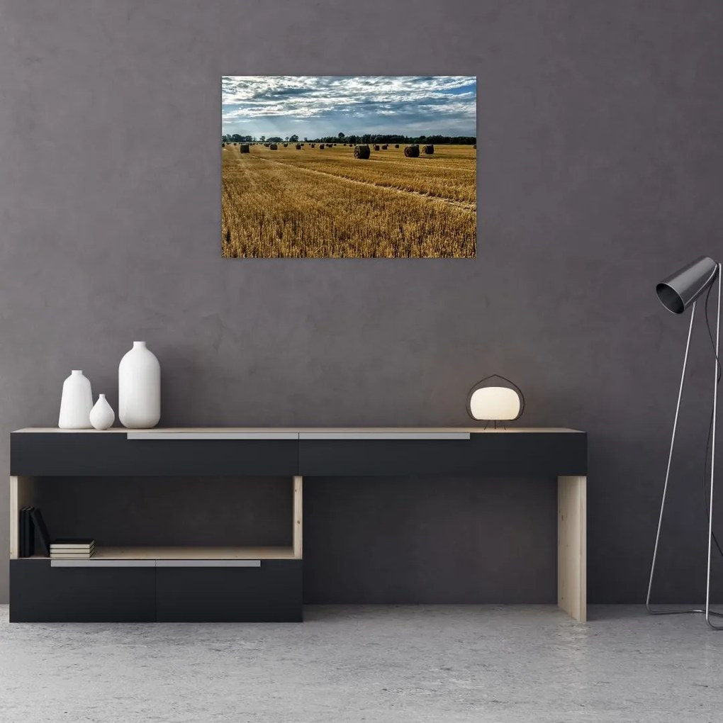 Tablou cu câmp recoltat (70x50 cm)