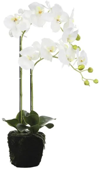 Orhidee la ghiveci, artificiala, alb, 80x15 cm