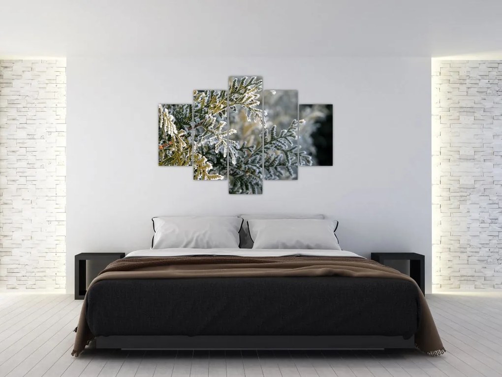 Tablou - Detaliu ramură (150x105 cm)