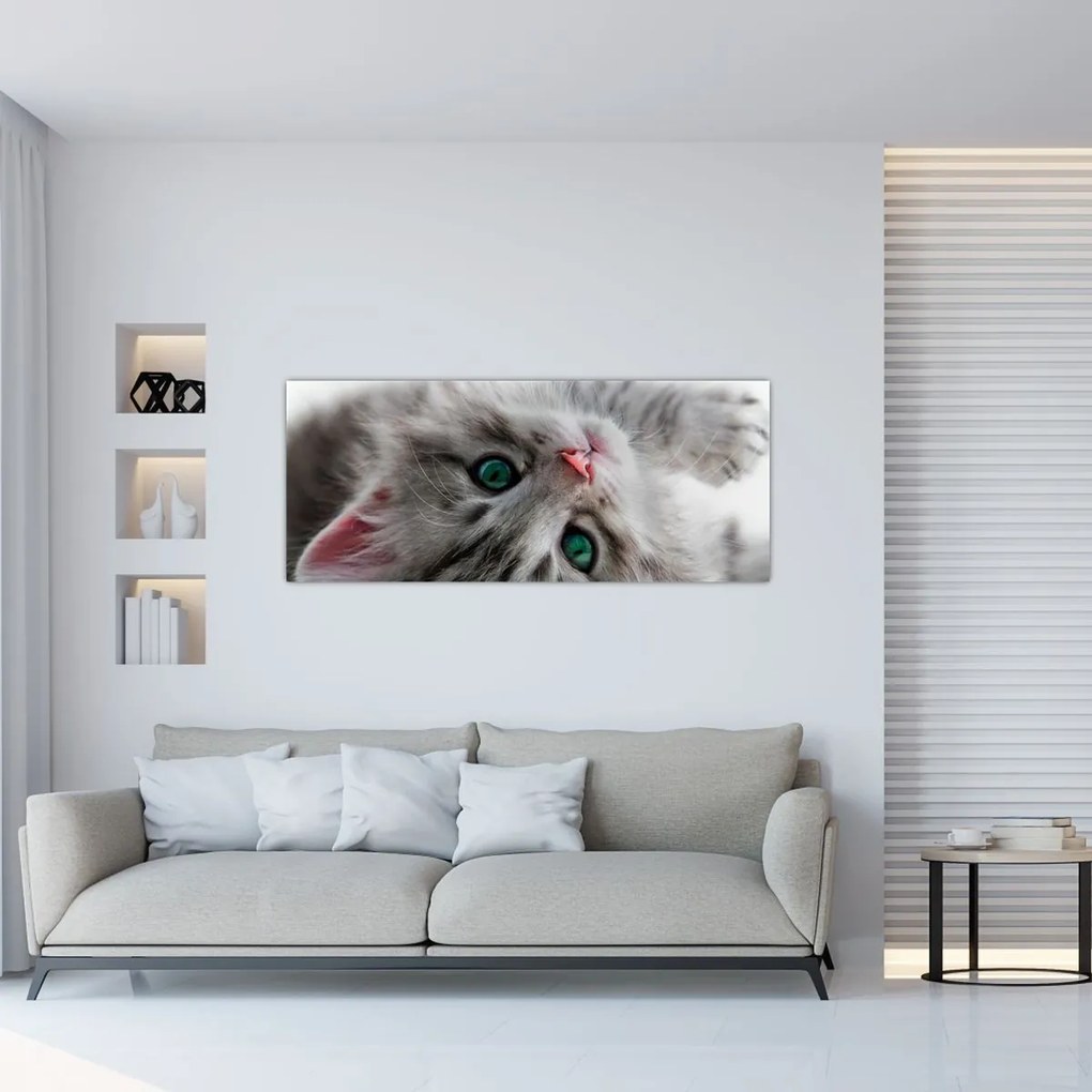 Tablou - Pisica cu ochi verzi (120x50 cm)