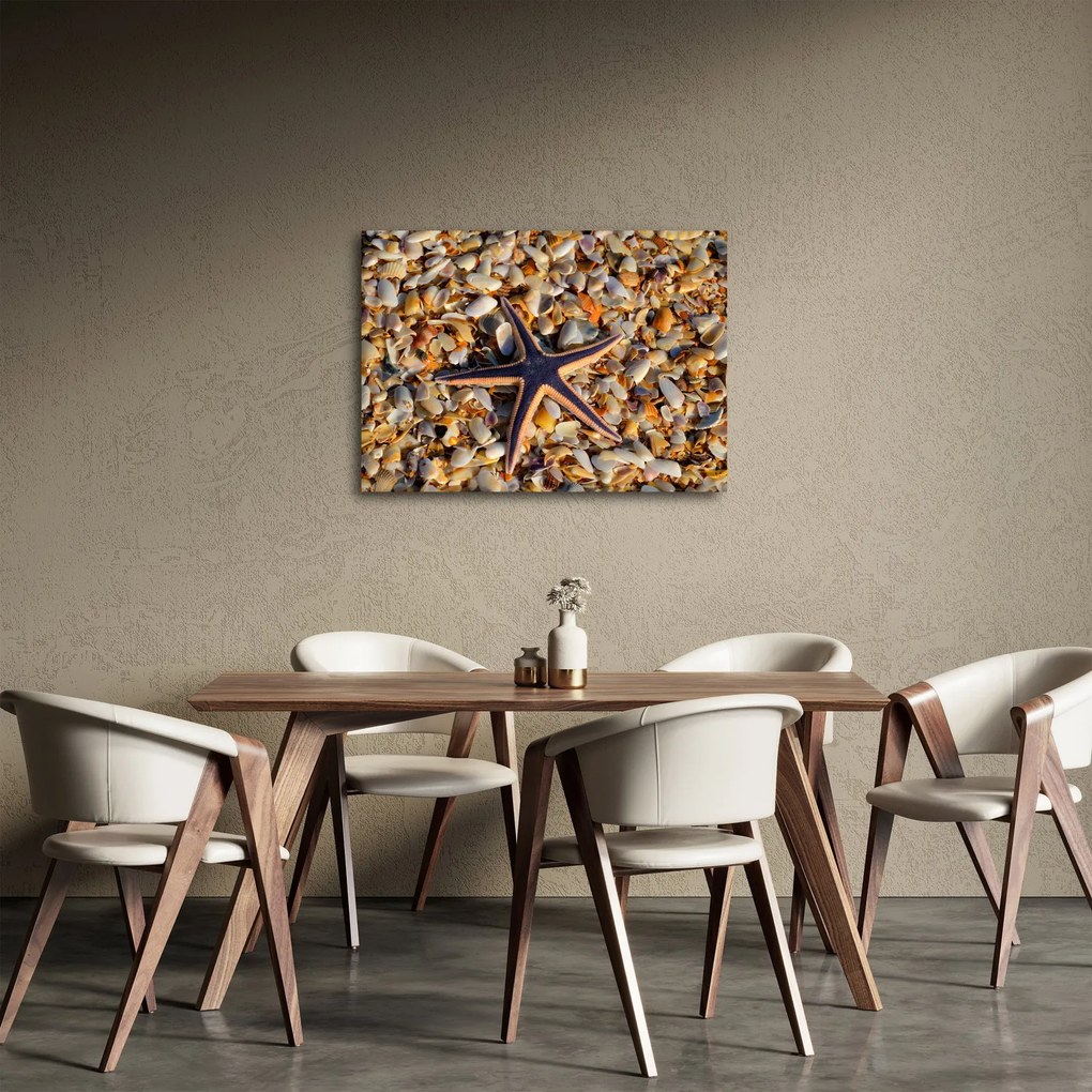 Tablou cu stea de mare (70x50 cm)