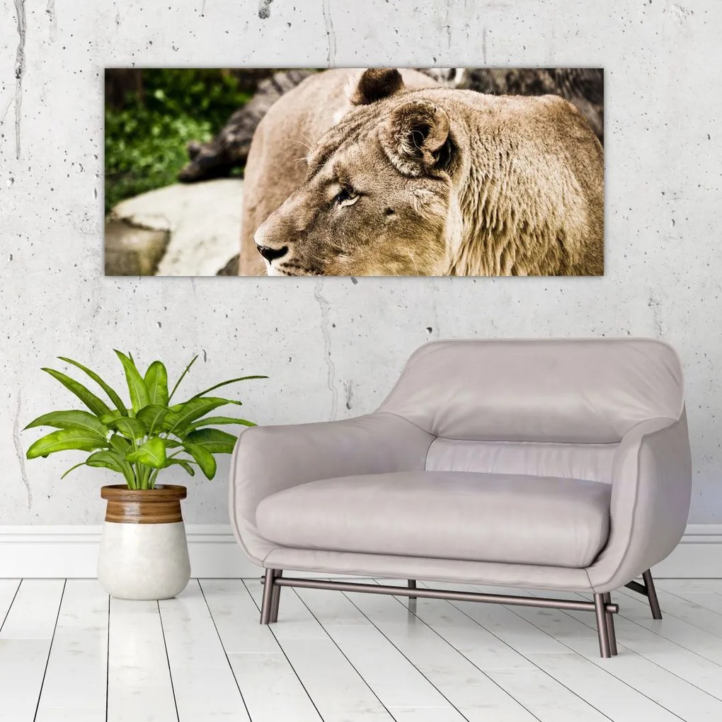 Tablou cu leoaică (120x50 cm)