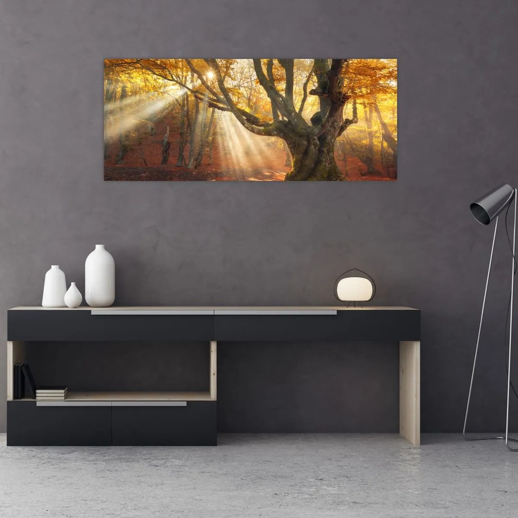 Tablou - Lumina de toamnă (120x50 cm)
