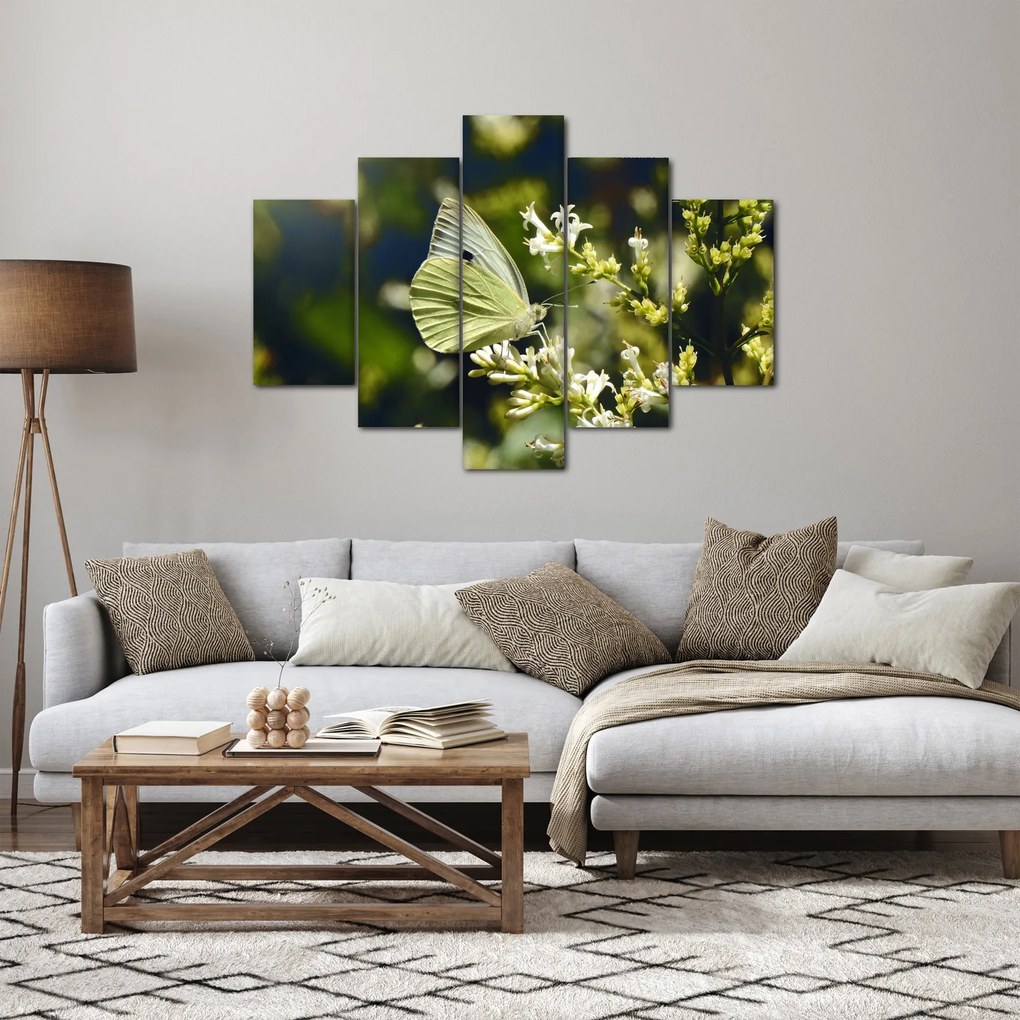 Tablou cu fluture (150x105 cm)