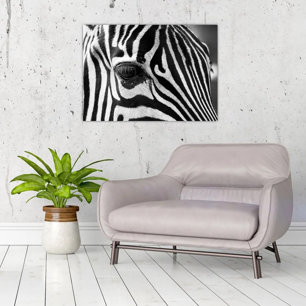 Tablou cu zebră (70x50 cm)