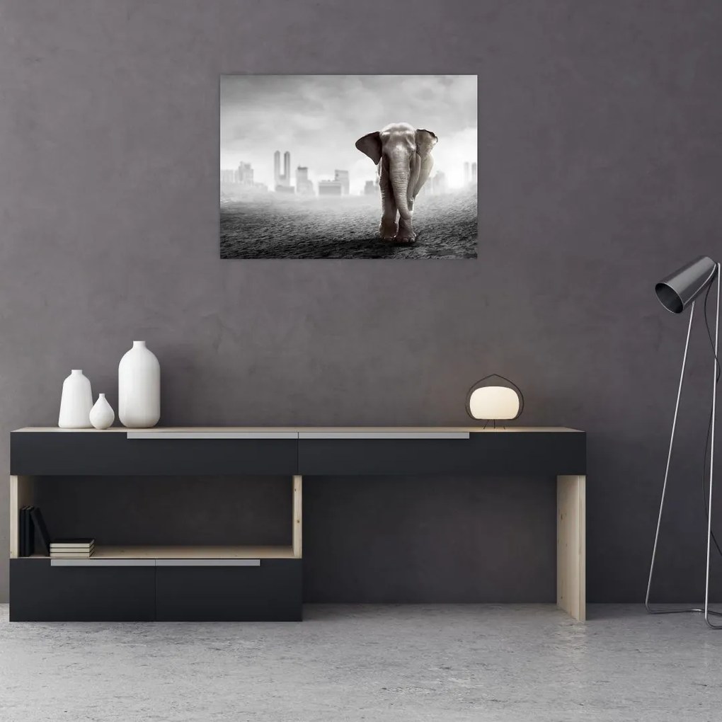 Tablou pe sticlă - Elefanți în oraș, versiunea alb-negru (70x50 cm)