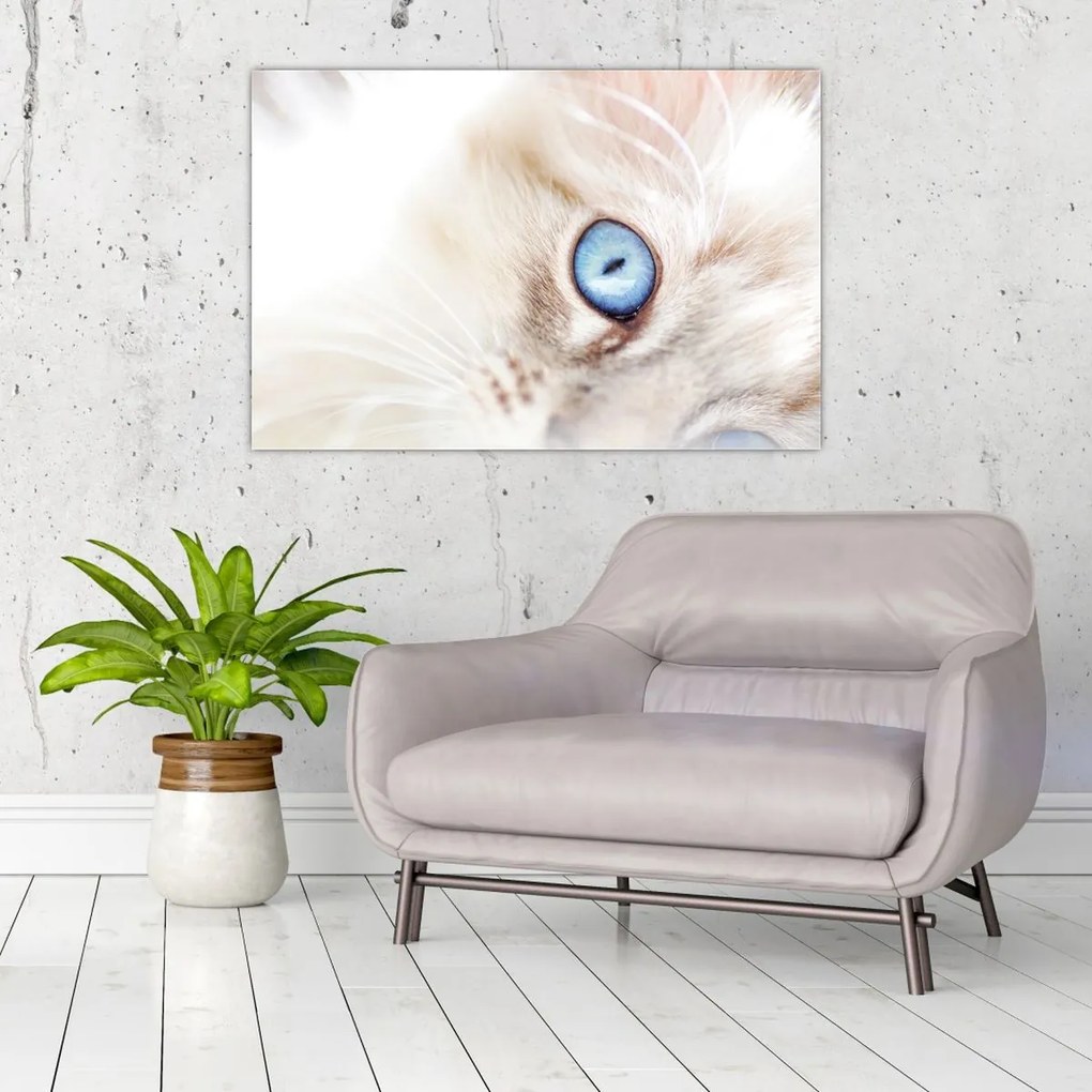 Tablou - Pisicuță (90x60 cm)