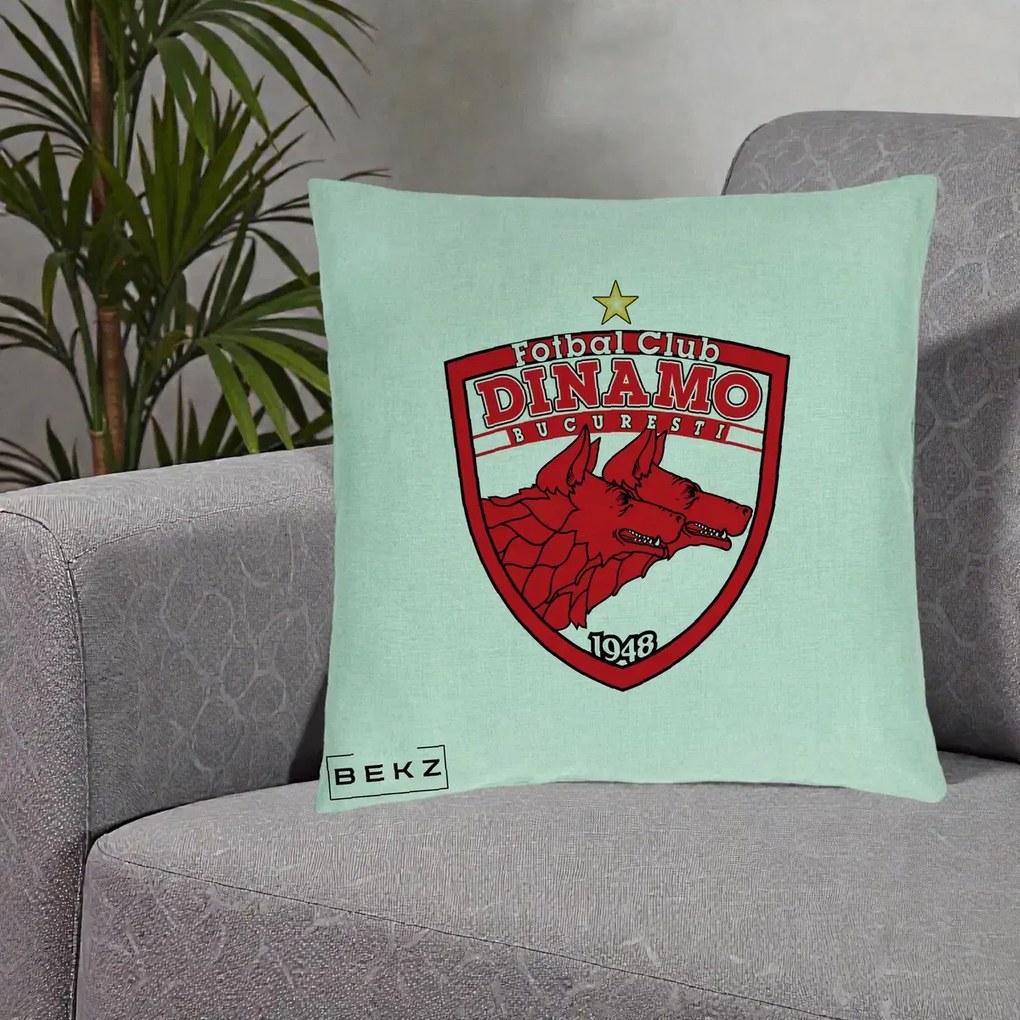 Perna Personalizata FC Dinamo Bucuresti 1948 Fotbal, 40x40 cm, Verde Menta, Husa Detasabila, Perna Inclusa, BEKZ®