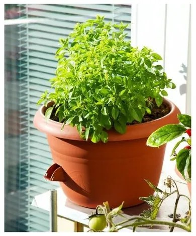 Plastia Jardinieră auto-udare Siesta teracota, diam. 25 cm, diam. 25 cm