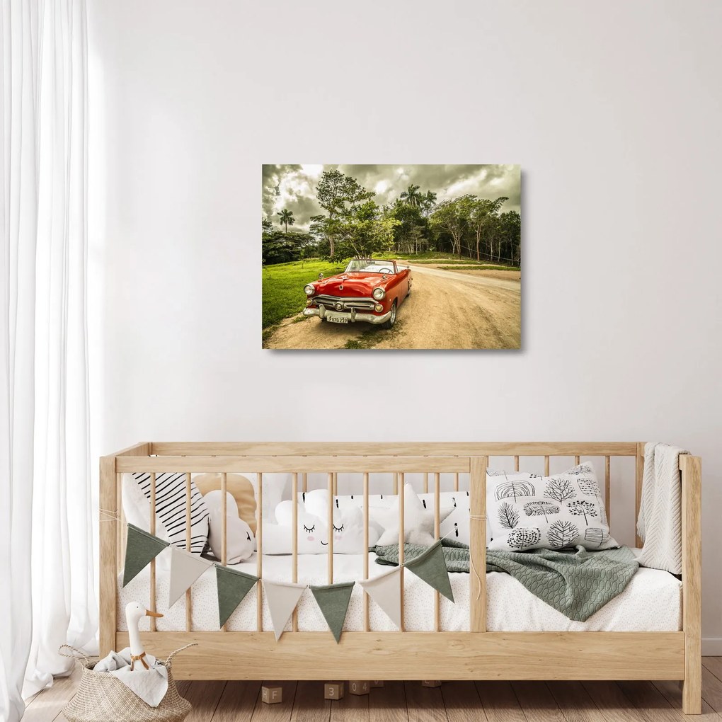 Tablou pe sticlă - mașina veteran în natură (70x50 cm)