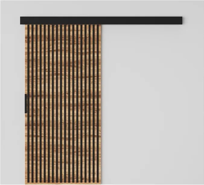 Ușă glisantă Perion – 96x1.6x205 cm – Stejar Wotan / Negru