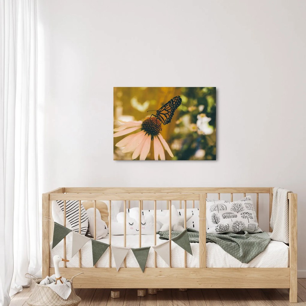Tablou cu fluture pe floare (70x50 cm)