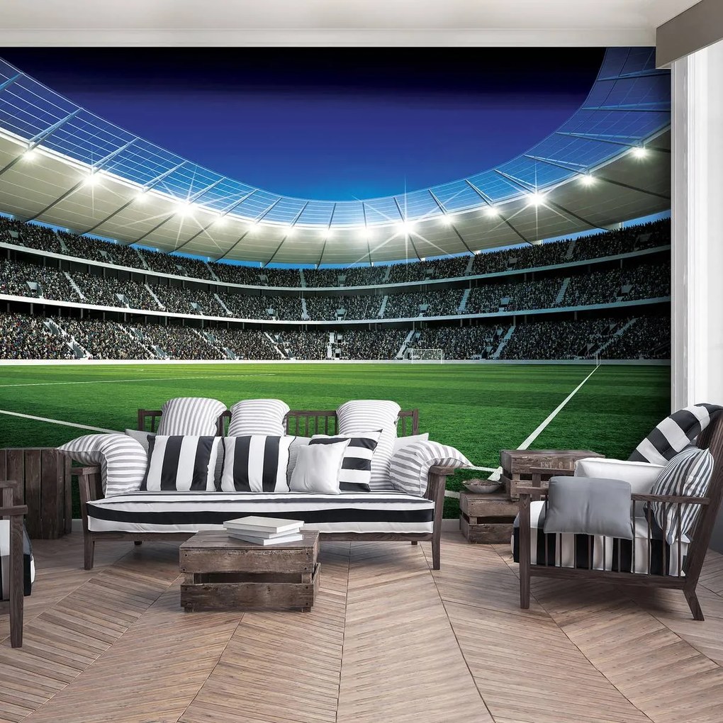 Fototapet - Stadion de fodbal (254x184 cm)